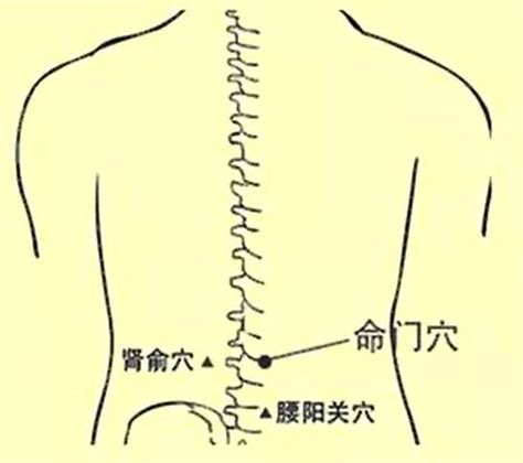 腰窩命理|腰窩